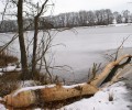 Joshofen Weiher